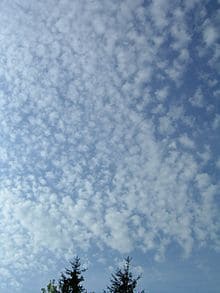 Cirrocumulus Clouds